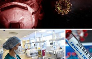 последни данни 535 случая covid нас починалите денонощието