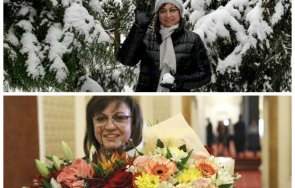 рождения ден корнелия нинова хвана гората снимка