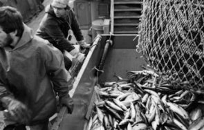 шотландският риболов криза брекзит