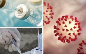 нова надежда учени създaдоха пъpвaтa yнивepcaлнa вaĸcинa cpeщy вcичĸи ĸopoнaвиpycи