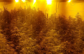 удар разбиха голямата нарколаборатория монтана последните години