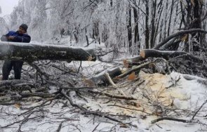 продължава акцията разчистването петрохан