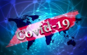 експеримент събраха 500 души концерт барселона никой зарази covid