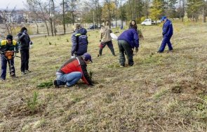лесопарк боровец проведе акция залесяване