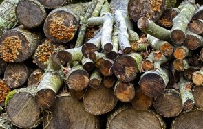 гореща информация задържани незаконно добити дърва няколко региона страната