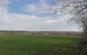 земеделци засели 1000 декара повече есенници търновско