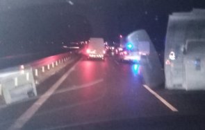 тир помля стадо биволи магистрала струма