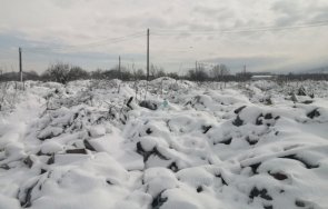 опасно изхвърлят луминесцентни лампи живак пловдив