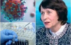 успокояващо проф нели корсун нямаме южноафрикански бразилски щам covid