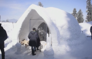 хотел индия предлага кафе иглу