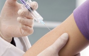 плевен очакват голяма пратка замразени ваксини