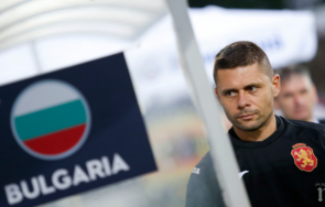 сложен жребий лъвчетата