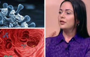 ангеологът любинка яневска горещ коментар коронавирусът увреди кръвоносната система хора застрашени