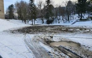 вандали вилняха един големите паркове свищов