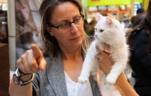 гримьорката звездите силвия стойчева изхвърлиш котка все едно изхвърлиш дете възрастен родител снимки