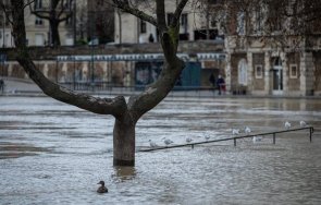 оранжев код сена преля париж