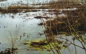 димчево бедственото положение удължено дни