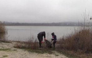 доброволци включиха почистването бреговете езерото вая