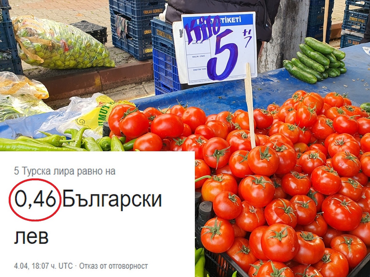 РЕЖАТ НИ ГЛАВИТЕ! Защо кило домати в Турция струва 46 стотинки, а в ...