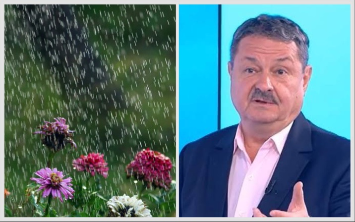 PIK BG visual data 8