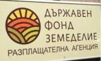 Държавен фонд „Земеделие“ днес ще изплати 90 млн. лв. подпомагане на производителите на плодове и зеленчуци