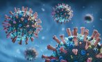 Засякоха нова разновидност на коронавируса в Бразилия