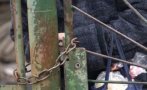 жители село монтанско вдигнаха ръце заради непрестанни набези апаши
