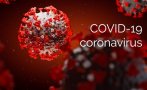 В Пловдивско плавно се покачва броят на болните от коронавирус