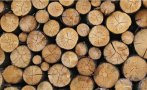 Напрежение в Пещера заради доставката на дърва за огрев на социално слаби семейства