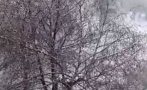 Горещо в ПИК: Сняг на парцали трупа в София (ВИДЕО)
