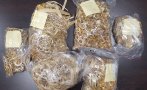 Прокуратурата погна шофьор на автобус за контрабанда на златни накити за 606 252 лв.