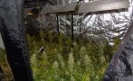 задържаха двама съпричастните нарколабораториите пловдивско снимки
