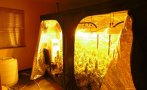 задържаха двама съпричастните нарколабораториите пловдивско снимки