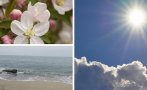 ГОРЕЩА НЕДЕЛЯ: Температурите идеални за плаж, очаква ни много слънце