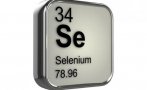 Учени: Селенът пази от затлъстяване и може да удължи живота ни