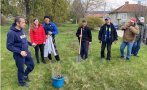 Засаждат 400 дръвчета в община Суворово