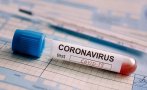 Над 79 700 новозаразени с коронавируса в Бразилия за денонощие