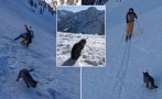 Котка изкачи 3 пъти планина в Швейцария