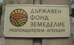 Засегнатите от COVID кризата земеделци могат да кандидатстват за финансово подпомагане