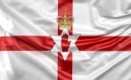 юнионистката партия северна ирландия нов лидер