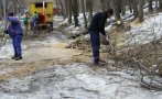 извозиха пет камиона отпадъци акция почистване дановия хълм пловдив