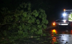 Среднощна буря с градушка удари Русе - паднали дървета предизвикаха катастрофи (СНИМКИ)