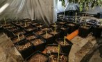 СПЕЦАКЦИЯ: Криминалисти удариха нарколаборатория в Бургас (СНИМКИ)