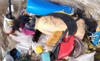 Тонове боклуци и препълнени контейнери посрещат туристите в Кранево
