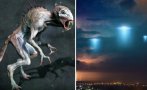 МИСТЕРИЯ В БОЛИВИЯ: НЛО спусна на Земята създание, подобно на Чупакабра (ВИДЕО)