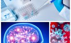 Учени COVID-19 Мозък увреждания Алцхаймер Паркинсон