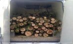 Ченгета заловиха камион с дърва от незаконна сеч край село в Монтанско