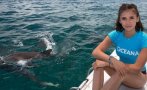 Нина Добрев и Лео ди Каприо спасяват акули