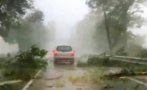потоп пазарджик силна буря изкорени дървета изпотроши къщи хората ужас