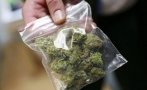 Пращат на съд пласьор на дрога за 48 грама марихуана